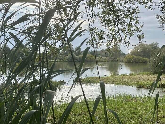 Balade naturaliste : regards d’automne_1