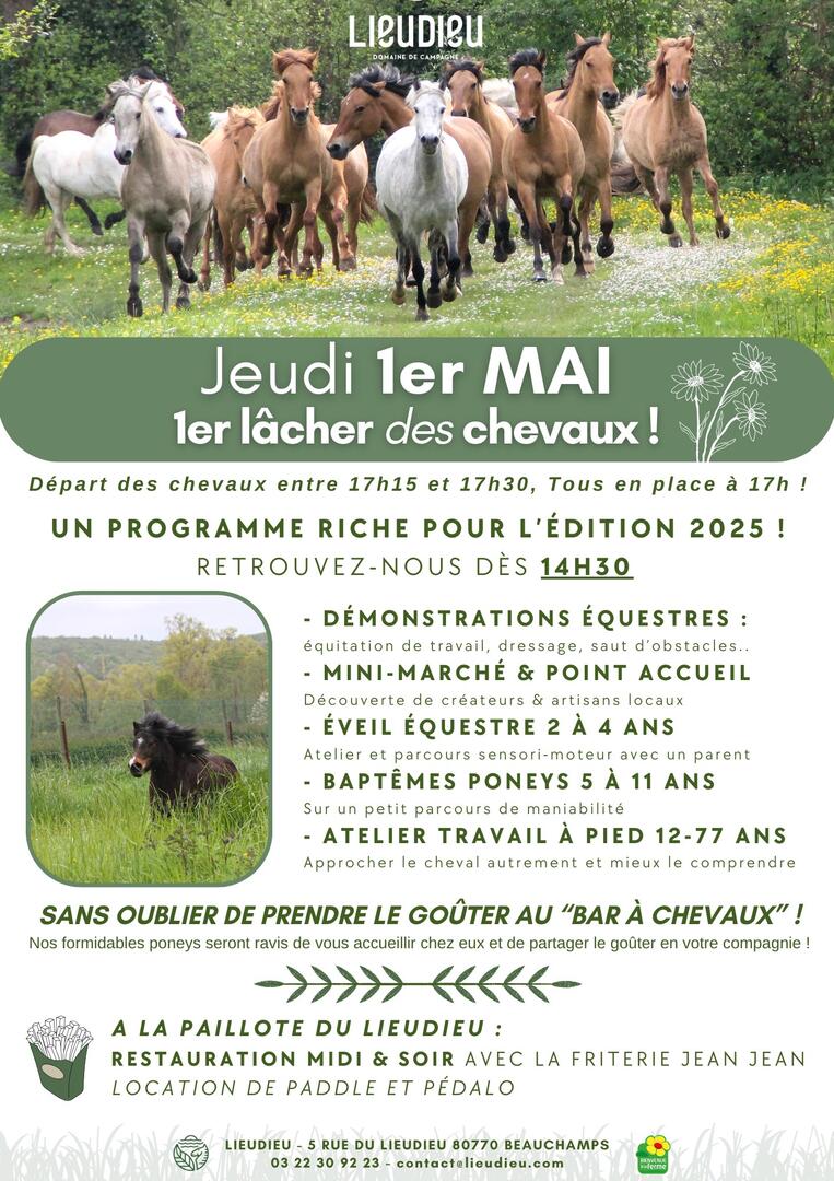 affiche 1er lacher de chevaux