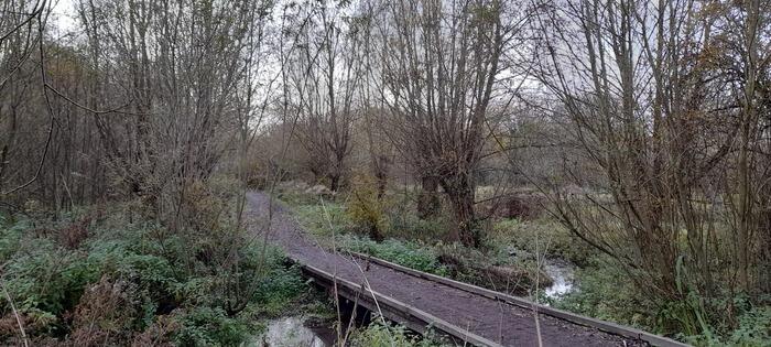 Balade naturaliste : l’eau, source de vie et d’inspiration_1