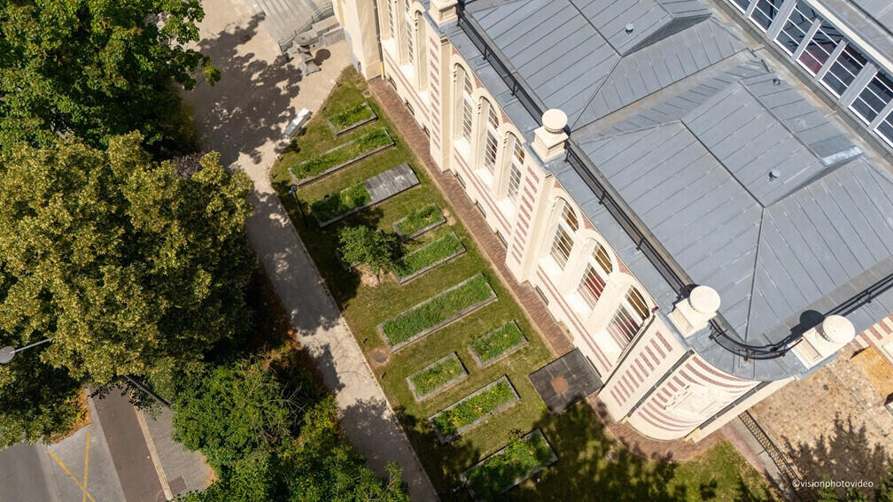 Visite olfactive : Du Palais Rameau au jardin d'arboriculture fruitière_1
