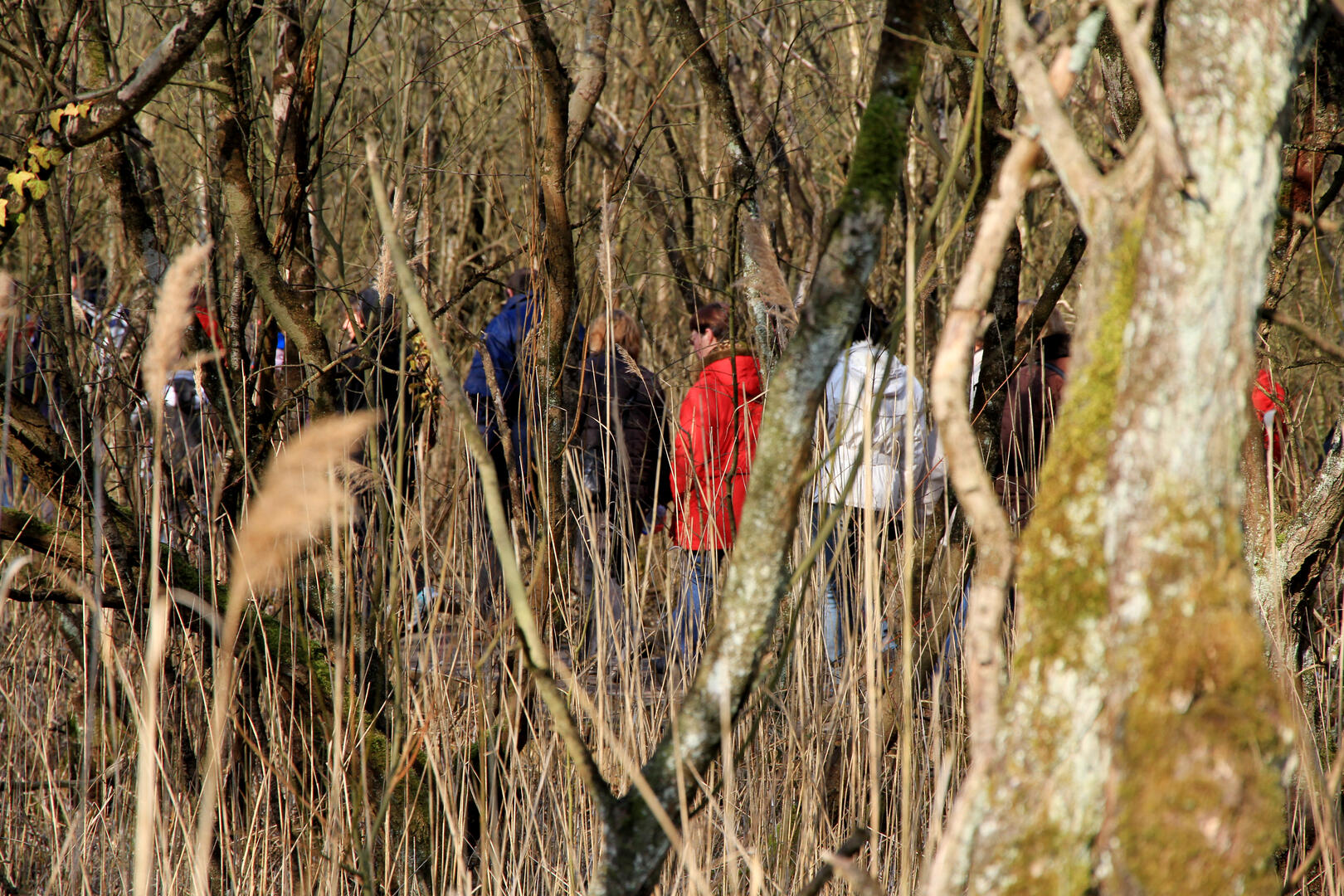 balade-nature (6)_1