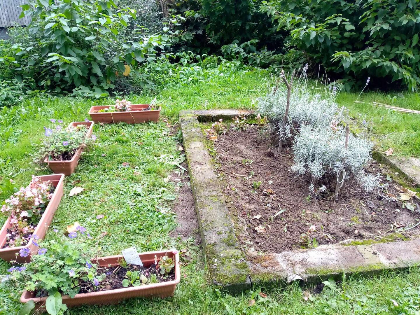betes jardin