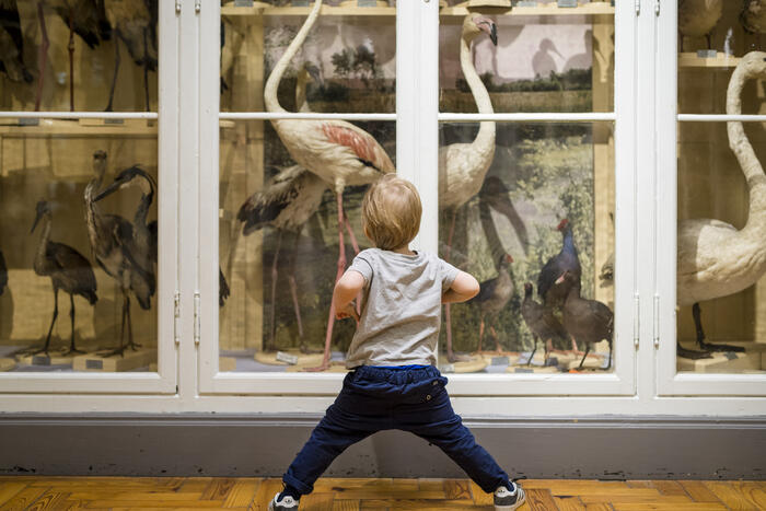 Création de poésie à hauteur des tout-petits / Atelier participatif autour des tapis sensoriels_1