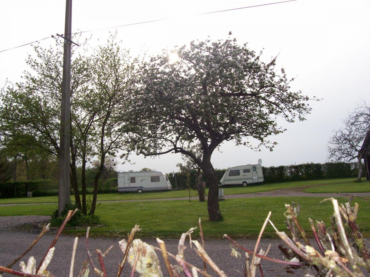 camping-le-bois-groult-2_1