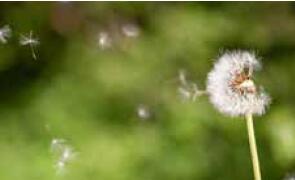 capture-d-ecran-2026-04-23-175208_1