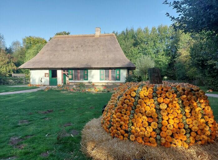 Fête de la citrouille_1