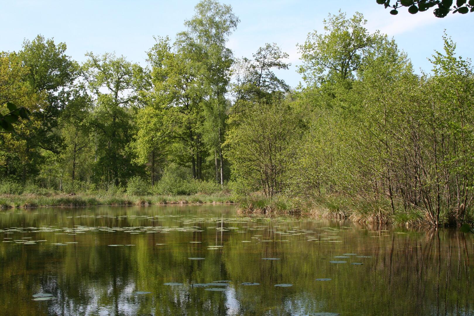 cenp_002300ori
