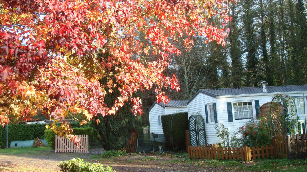 Camping Moulin de la Noué Senots