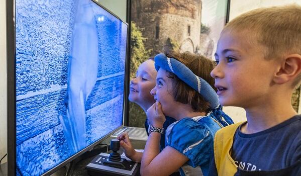 chauves-souris-benoit-bremer-ban-copie_1