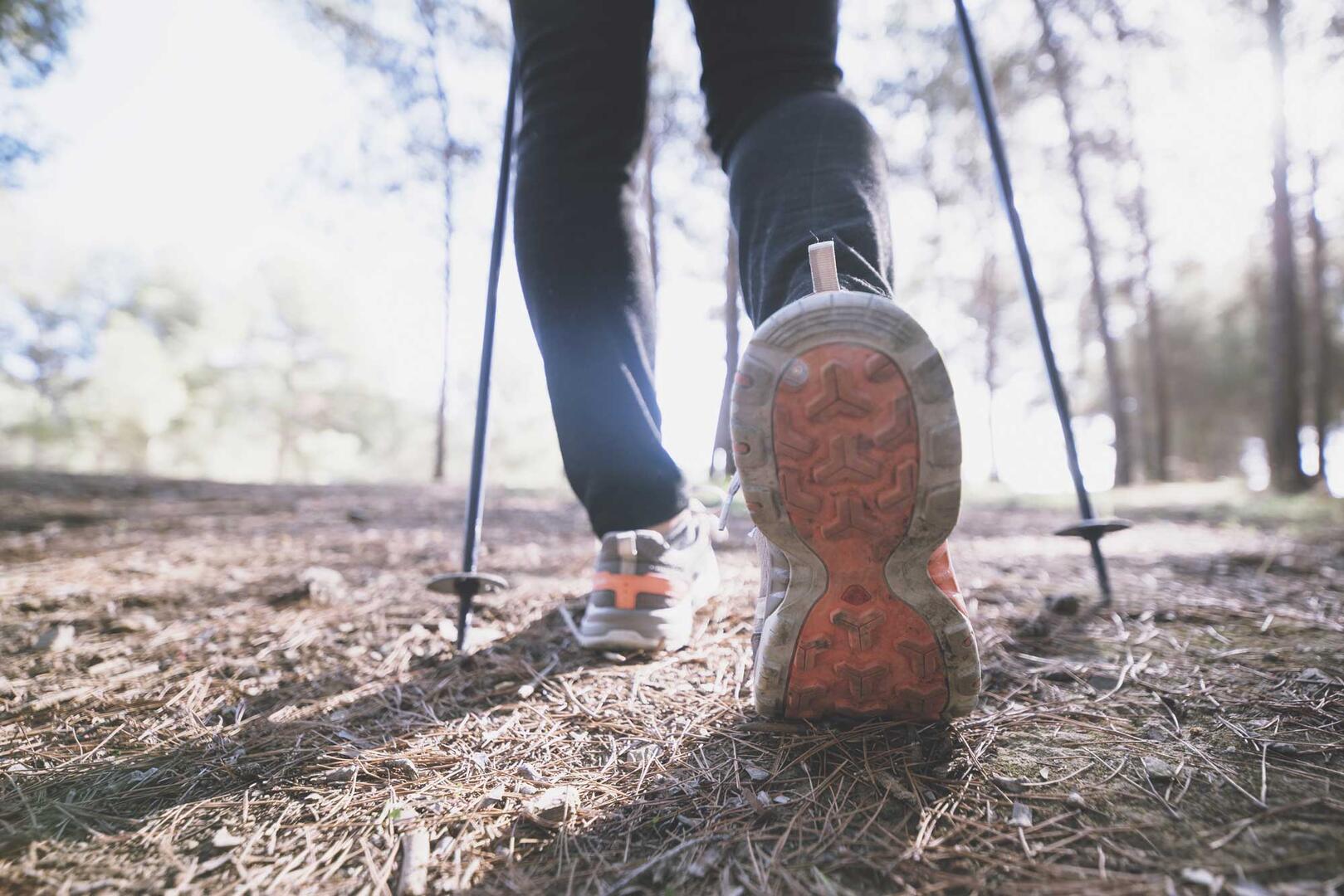 crop-legs-walking-forest