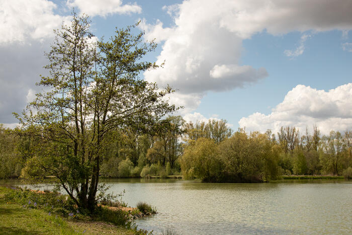 Balade naturaliste: exploration artistique_1