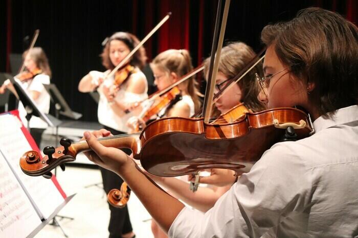 Violon sur l'île_1
