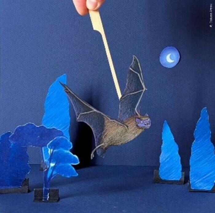 Atelier d’été : Théâtre de papier, les chauve souris en scène !_1