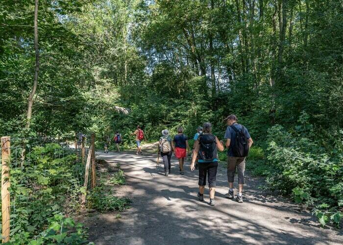 Balade naturaliste : à l’ombre des feuilles_1