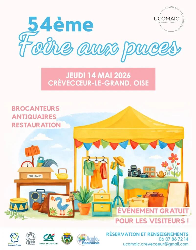 foire_aux_puces-802x1024