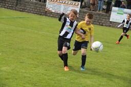 foot (1)_1