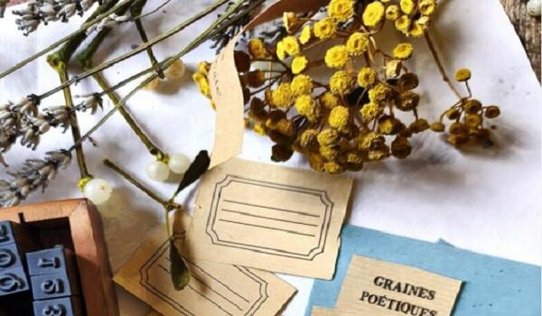 graines-poetiques-chartreuse_1