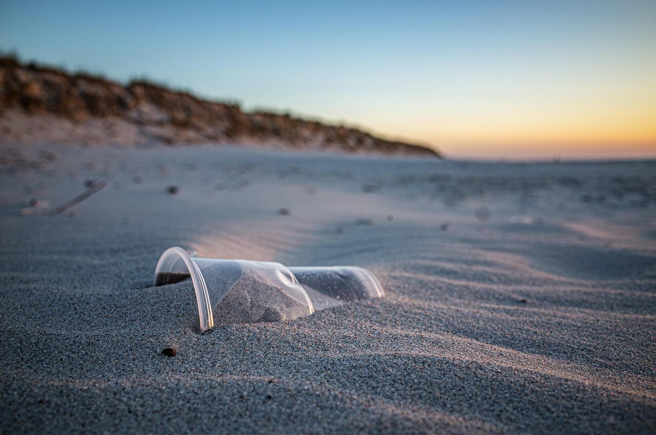 hamsterfreund-beach-5697987-1280 (1)_1