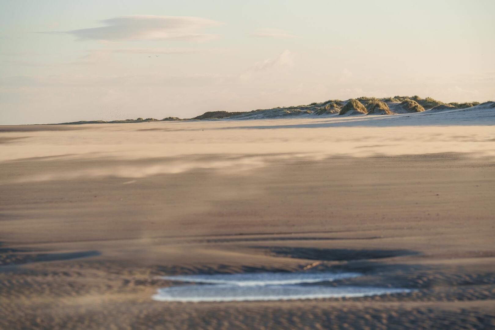 Estran de la plage des Hemmes de Marck