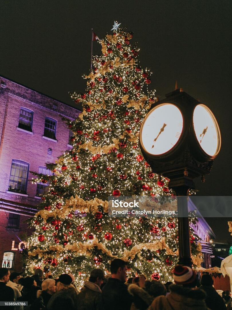 istockphoto-1038549786-2048x2048_1