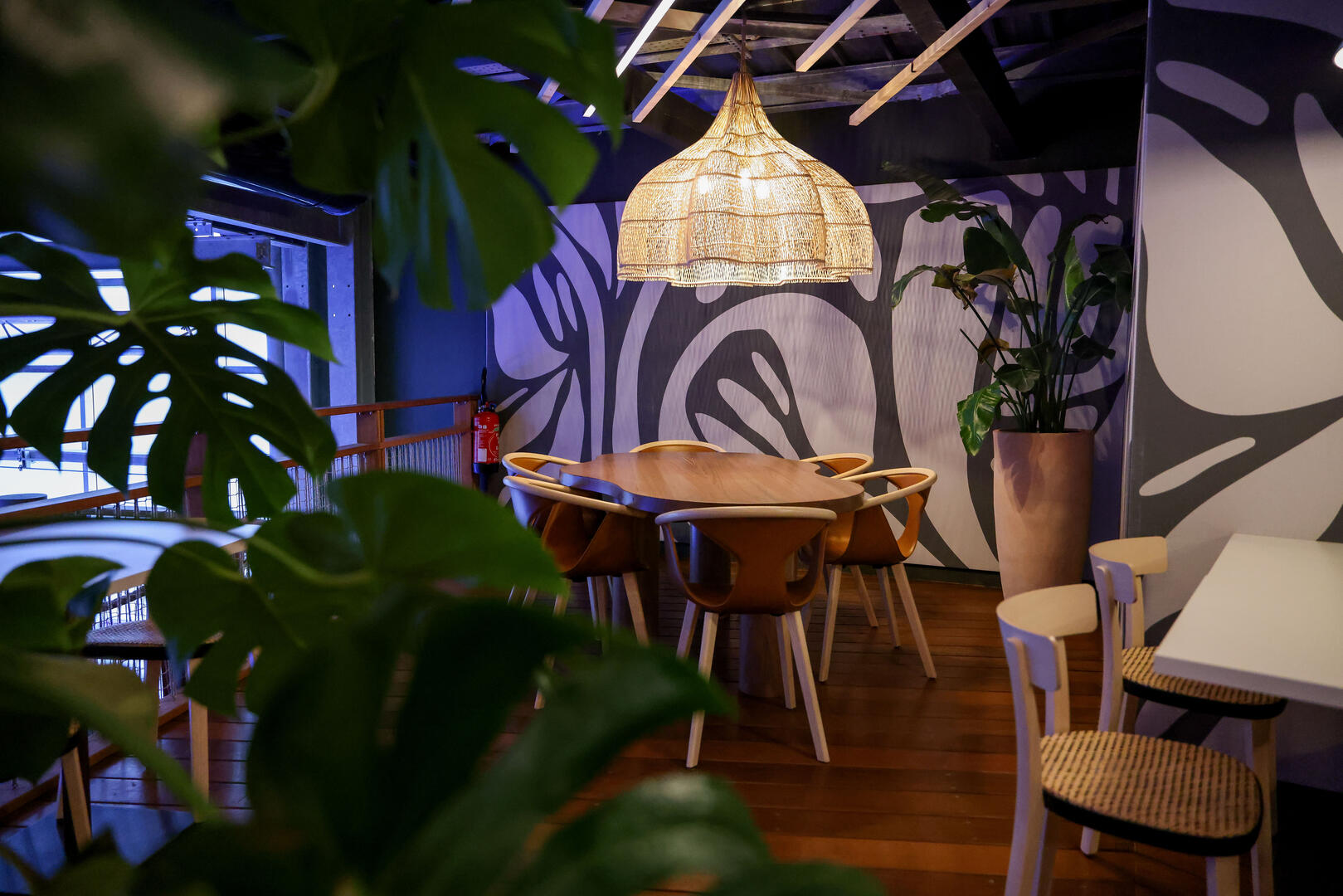 lagon-tropical-201125-p.ledez-otbco-2025-147-_1