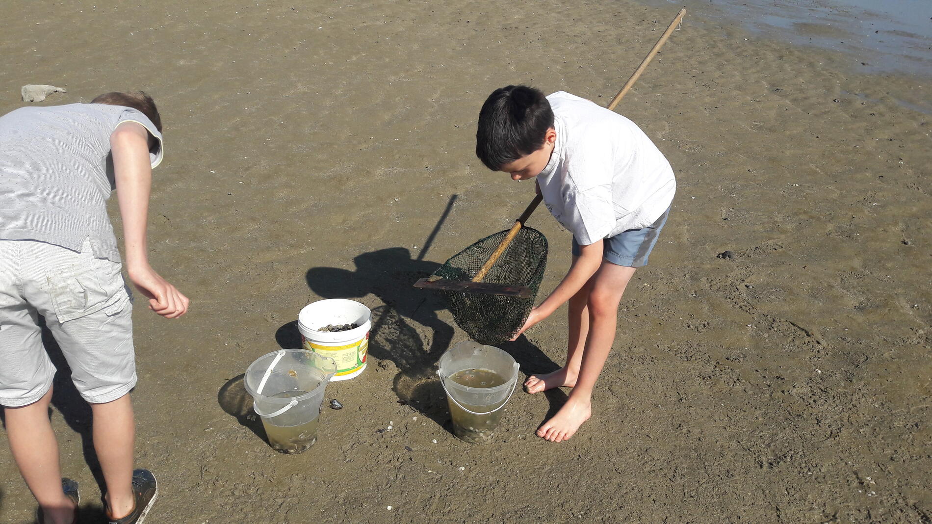 PECHE A PIED