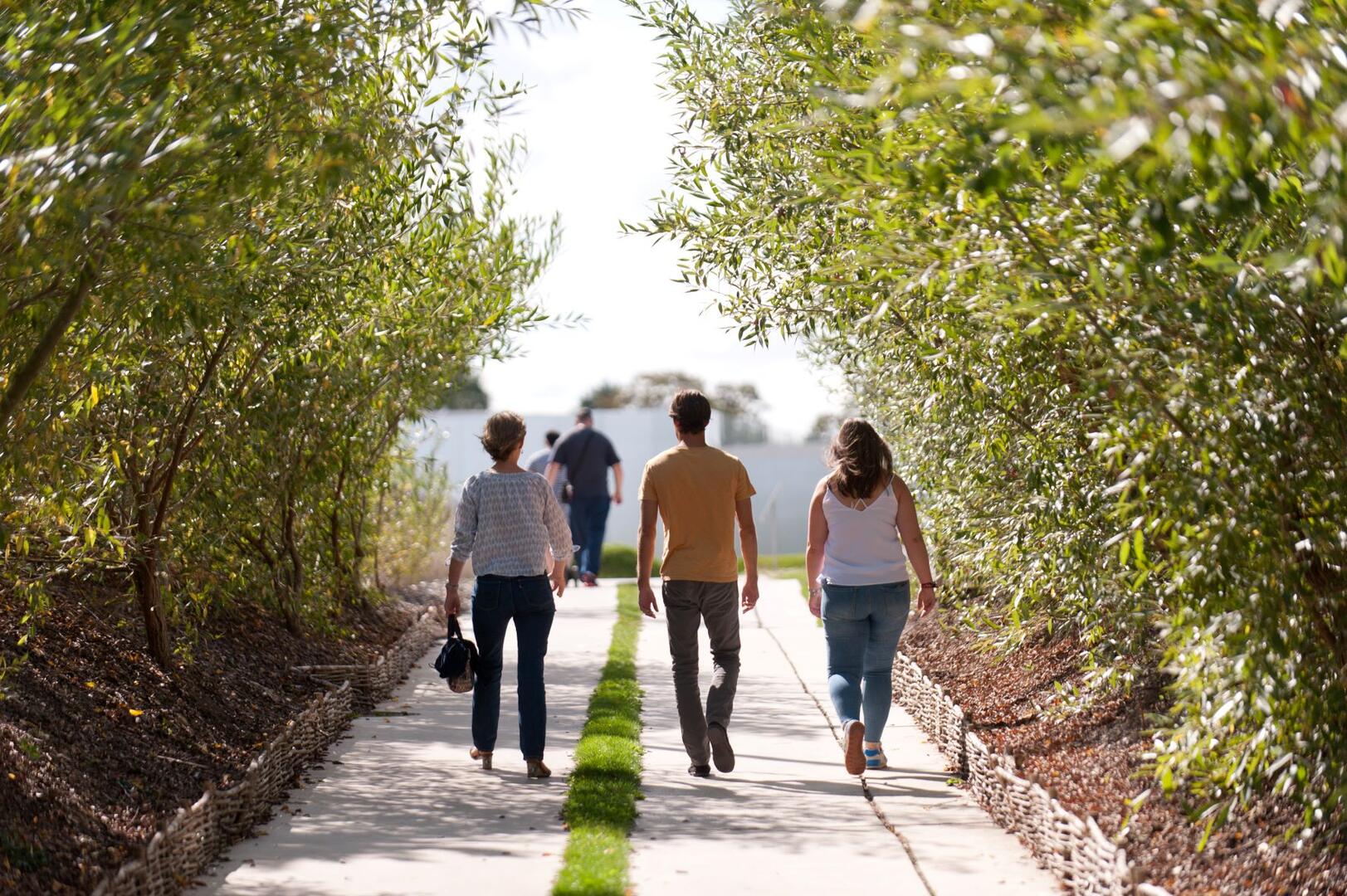 parc-ete-f.-iovino (2)_1