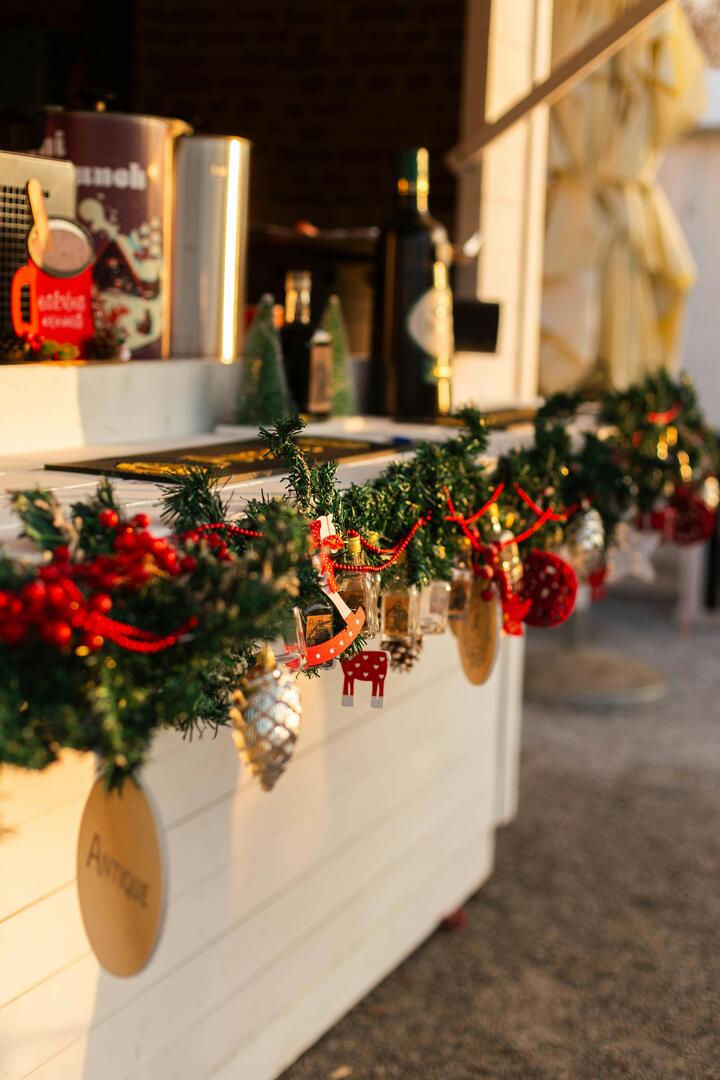 pexels-eugenia-sol-1769194548-29714953_1