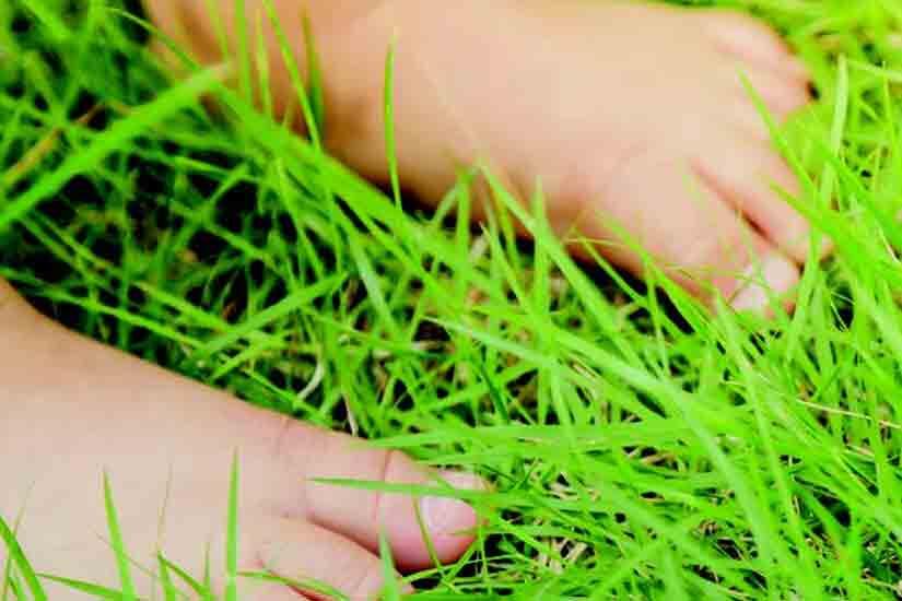 pieds