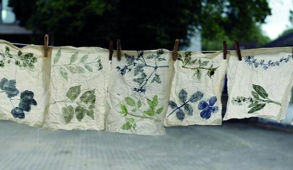 plantes-tinctoriales-2_1