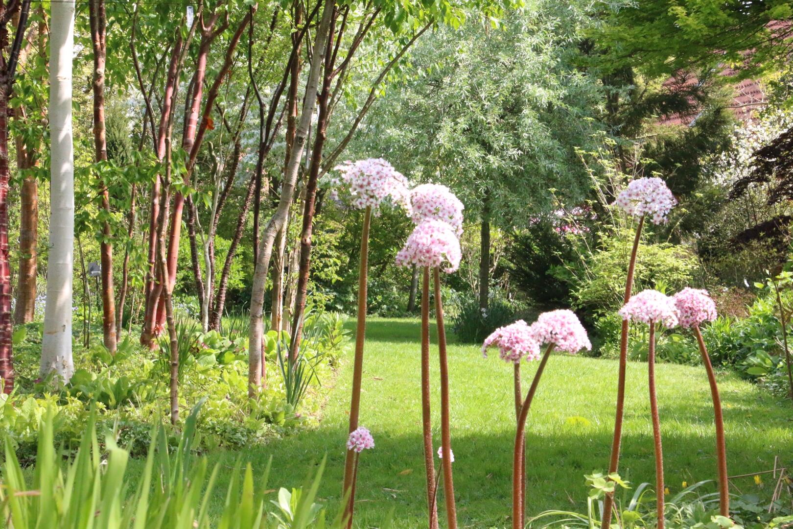 reflets de jardin aulx