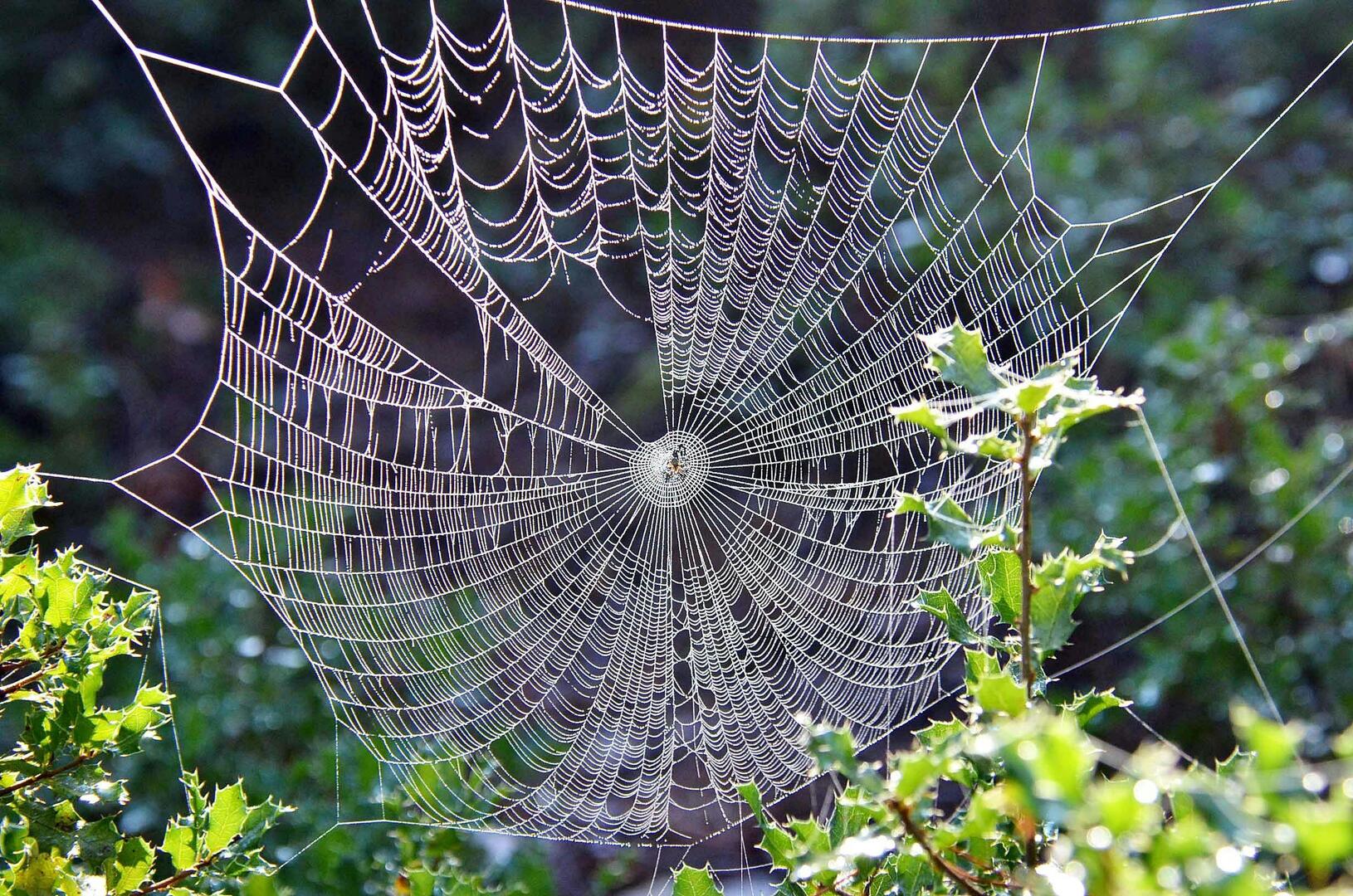 refuge naturel