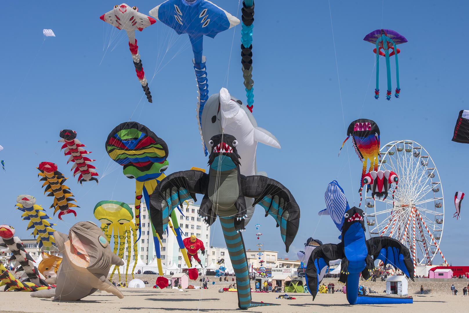 rencontres-internationales-de-cerfs-volants-de-berck-sur-mer-credit-ville-de-berck-sur-mer-15-_1