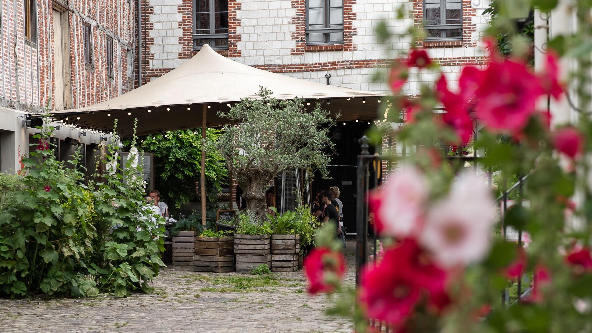 restaurat-froggy-s-tavern-montreuil-sur-mer-papi-aime-mamie-studio-01-1-_1