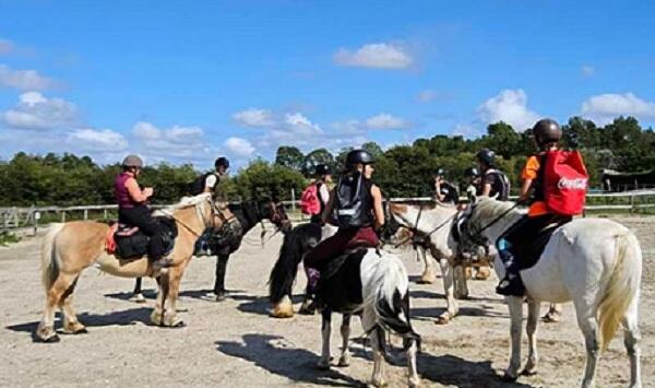 stage-equitation-ban (1)_1