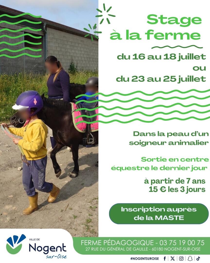stage ferme été