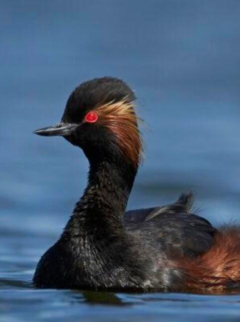 supers pouvoirs nature