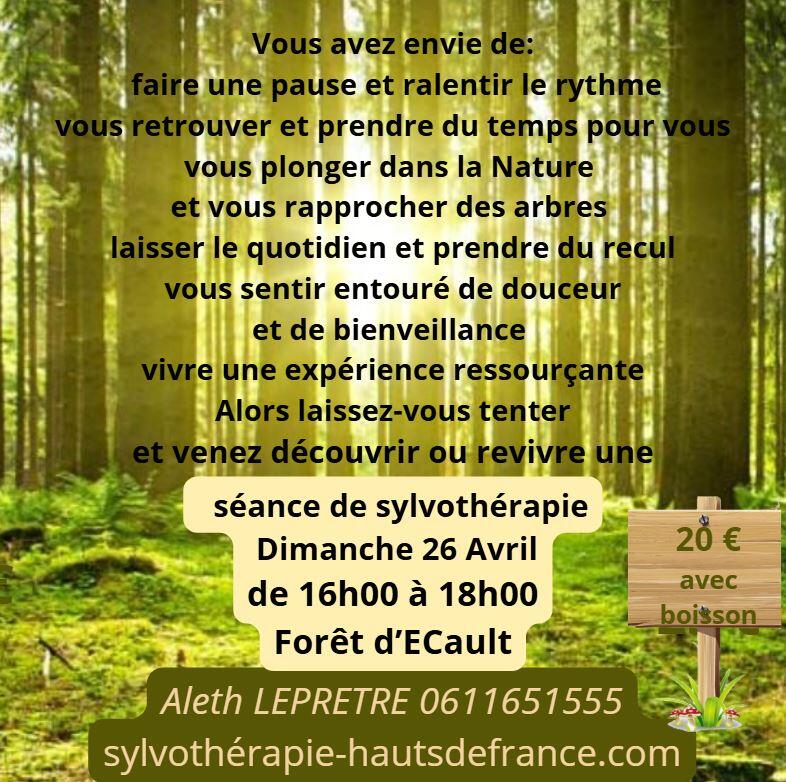 sylvo-foret-hardelot-26-avril-26_1