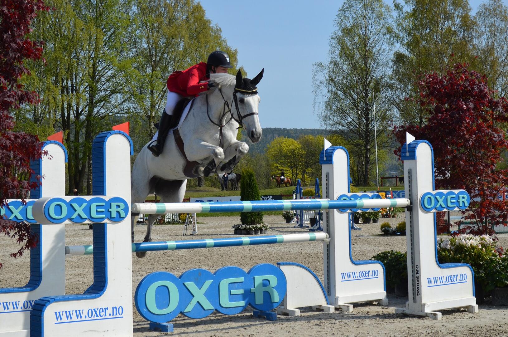 showjumping-gf307c72f1-1920_1