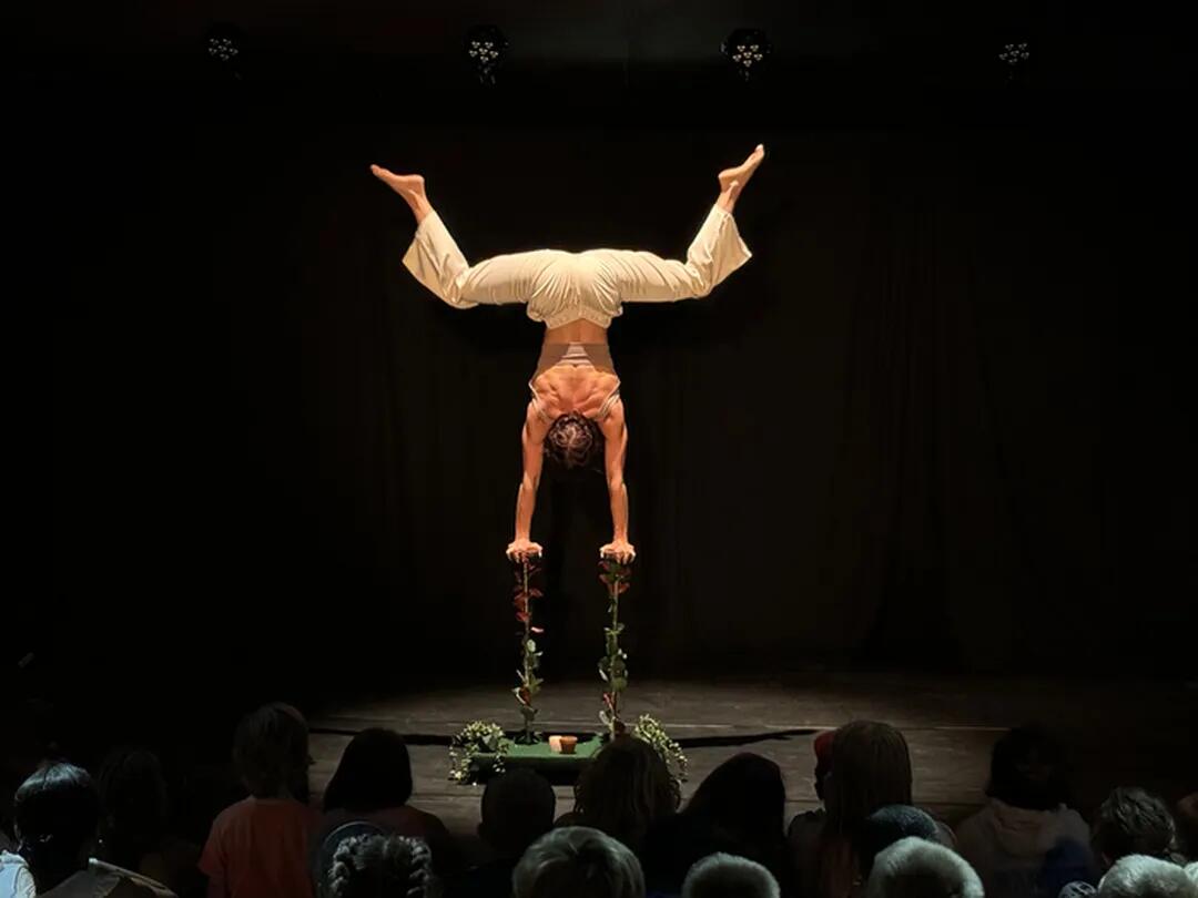 spectacle-cabaret_1