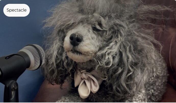 spectacle-dialogues-de-betes-chateau-07-02-2026_1