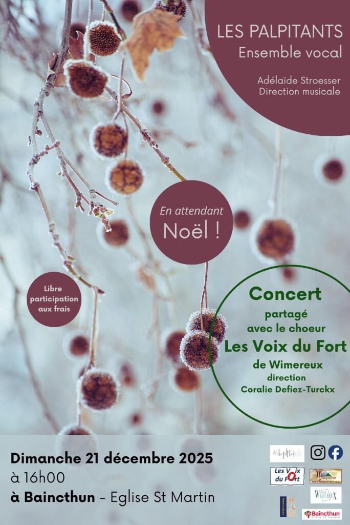 thumbnail-aff.-concert-2025.12.21-avec-palpitants-w_1