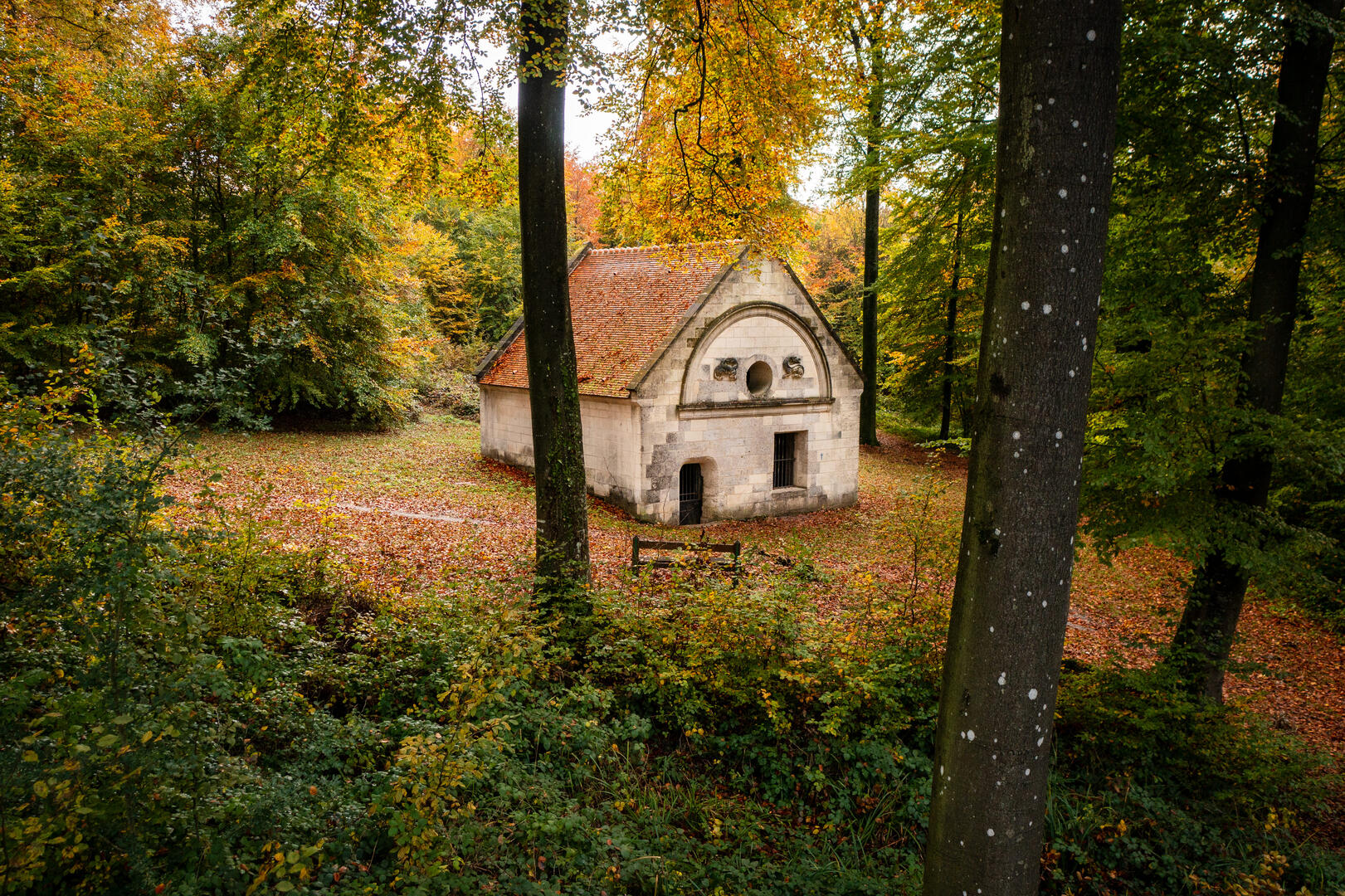 © ONF_VIGNE_RETZ_AUTOMNE_21-03