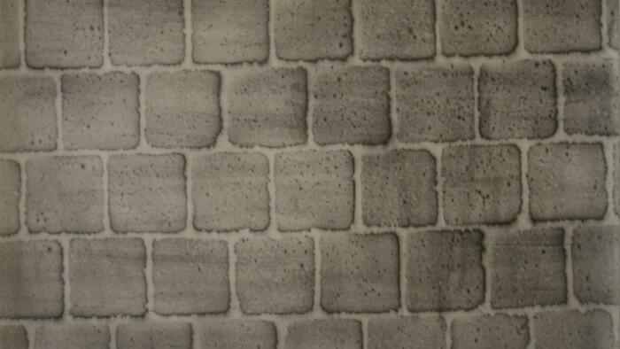 Dissimuler / révéler_1