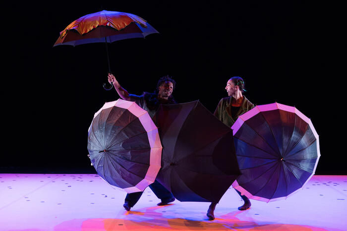 Coquilles - Amala Dianor_1