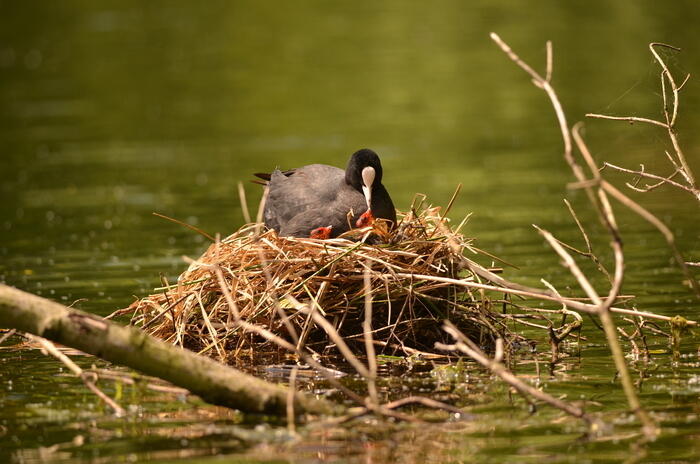 La palette de l'artiste_1