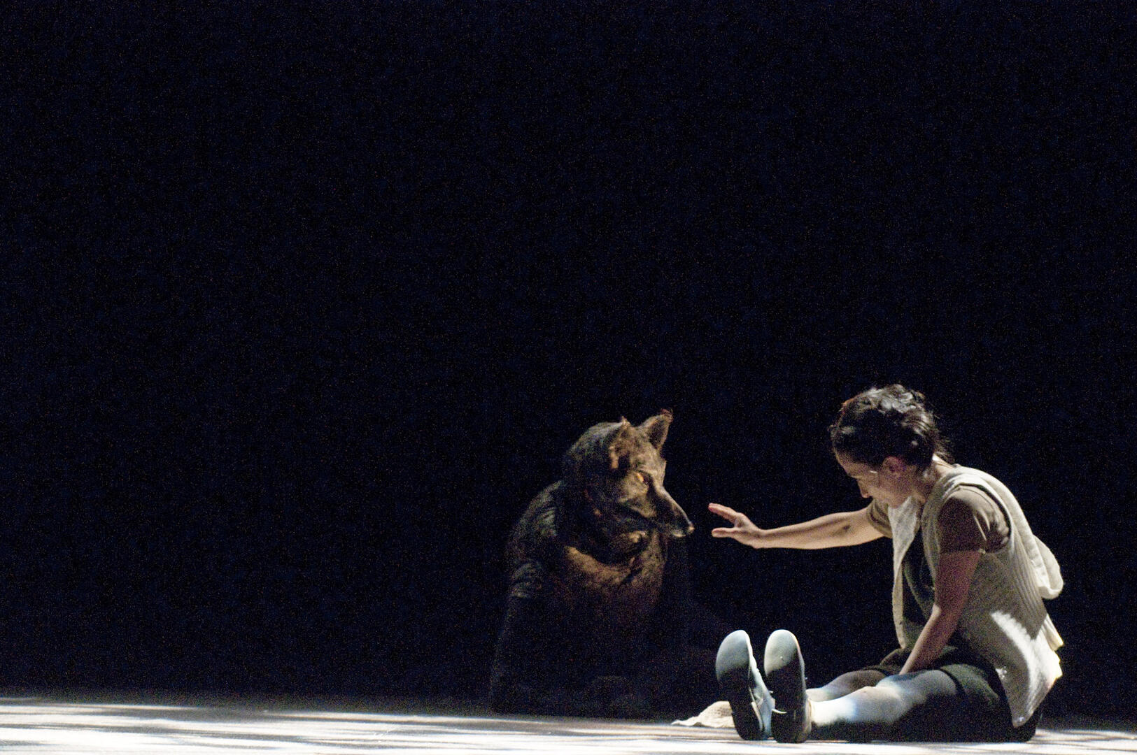 Le Petit Chaperon rouge