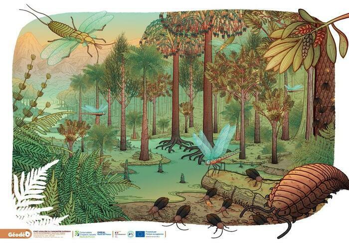 À la recherche des mondes disparus des Hauts-de-France_1