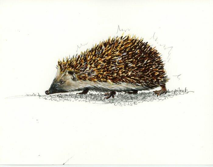 Pique ma curiosité_1