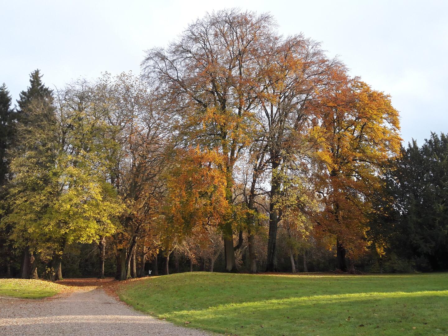 Parc Chaalis